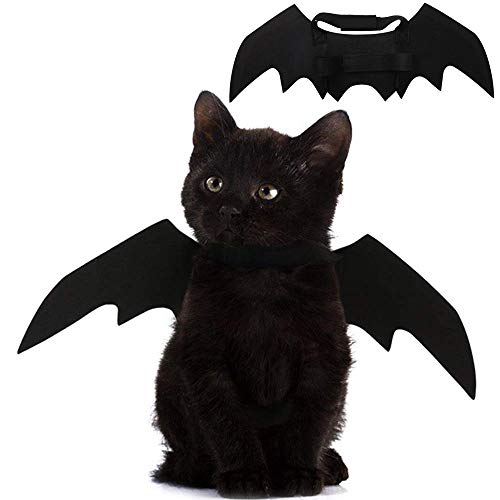 Halloween's Adjustable Bat Wings Costume for Cats and Small Dogs