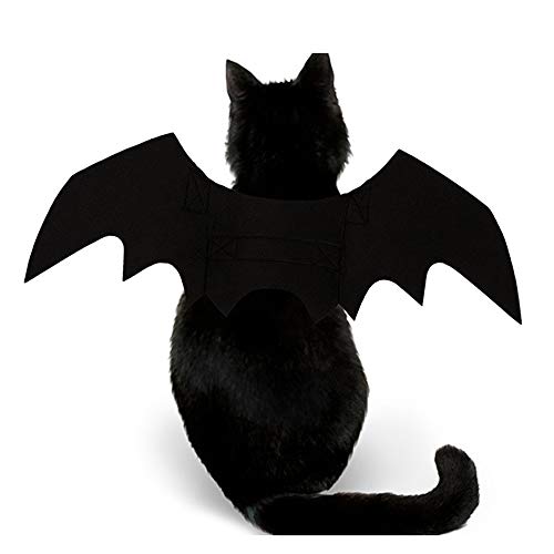 Halloween's Adjustable Bat Wings Costume for Cats and Small Dogs