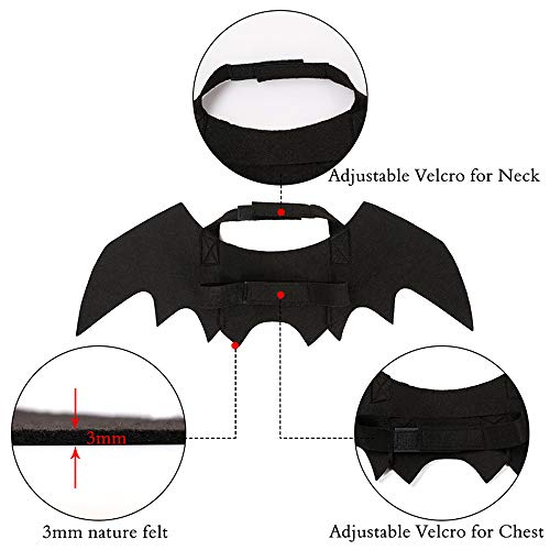 Halloween's Adjustable Bat Wings Costume for Cats and Small Dogs
