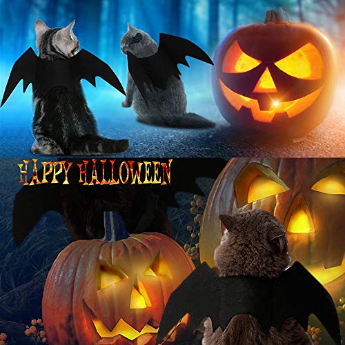 Halloween's Adjustable Bat Wings Costume for Cats and Small Dogs
