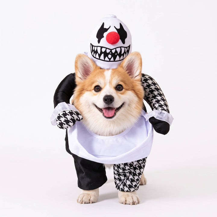 Halloween's Creepy Dog Costume with Padded Arms for Trick or Treating