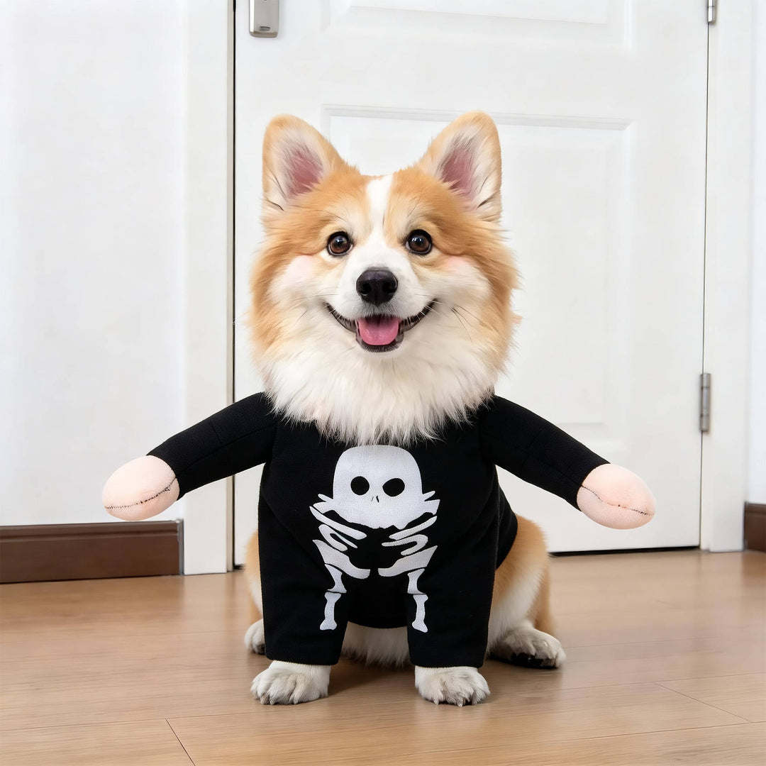 Halloween's Creepy Dog Costume with Padded Arms for Trick or Treating
