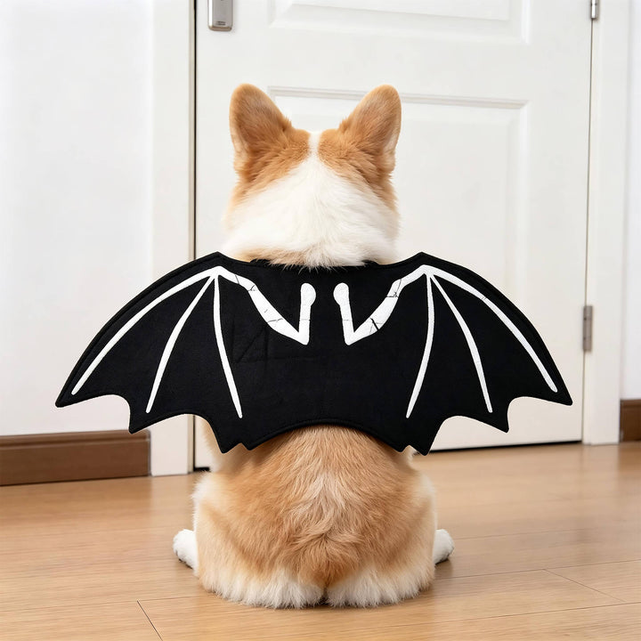 Halloween's Creepy Dog Costume with Padded Arms for Trick or Treating