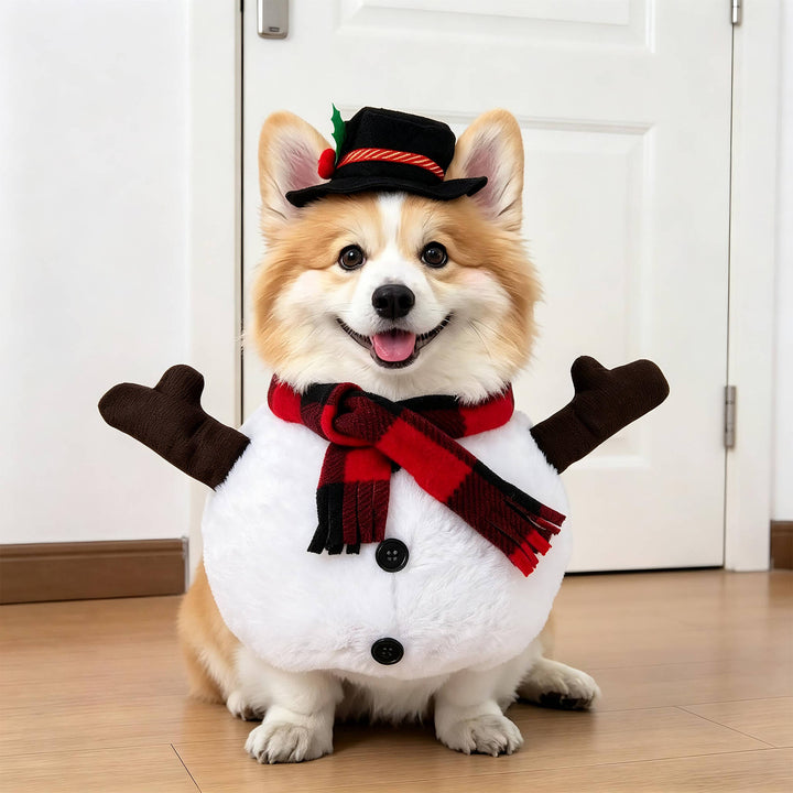 Halloween's Creepy Dog Costume with Padded Arms for Trick or Treating