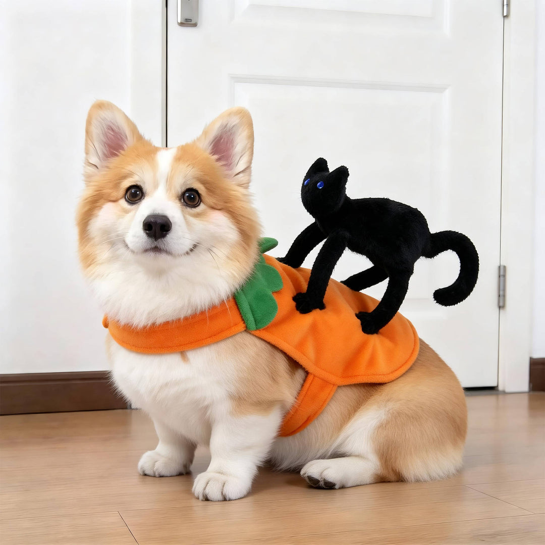 Halloween's Creepy Dog Costume with Padded Arms for Trick or Treating