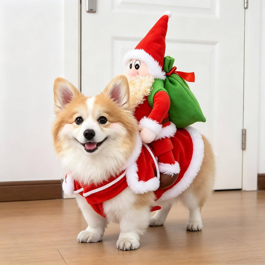 Halloween's Creepy Dog Costume with Padded Arms for Trick or Treating