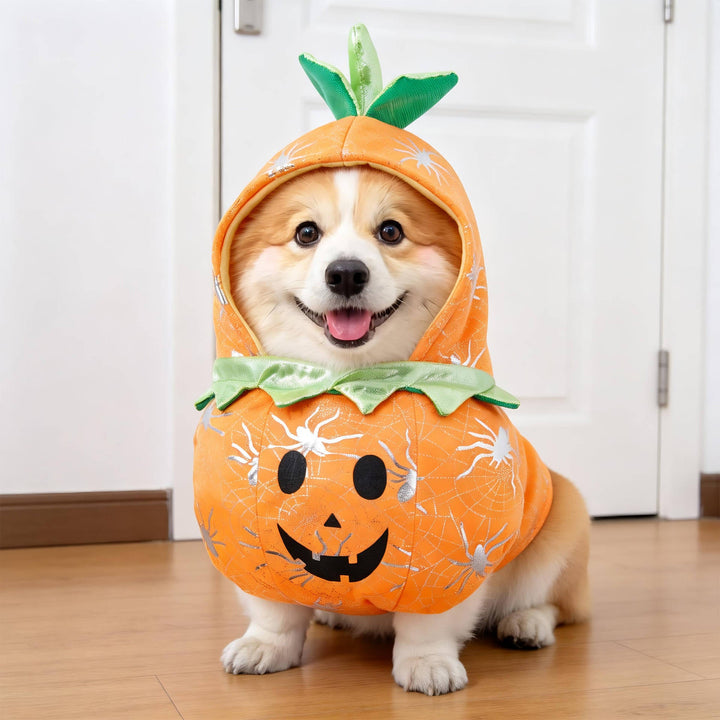 Halloween's Creepy Dog Costume with Padded Arms for Trick or Treating