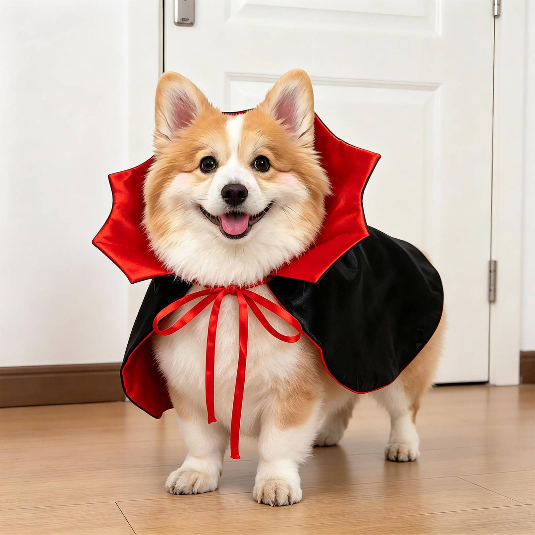 Halloween's Creepy Dog Costume with Padded Arms for Trick or Treating