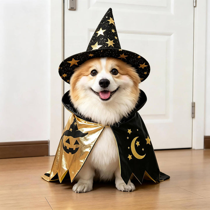 Halloween's Creepy Dog Costume with Padded Arms for Trick or Treating