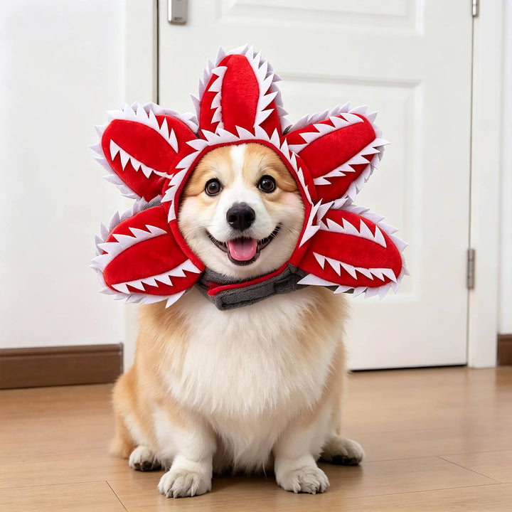 Halloween's Creepy Dog Costume with Padded Arms for Trick or Treating