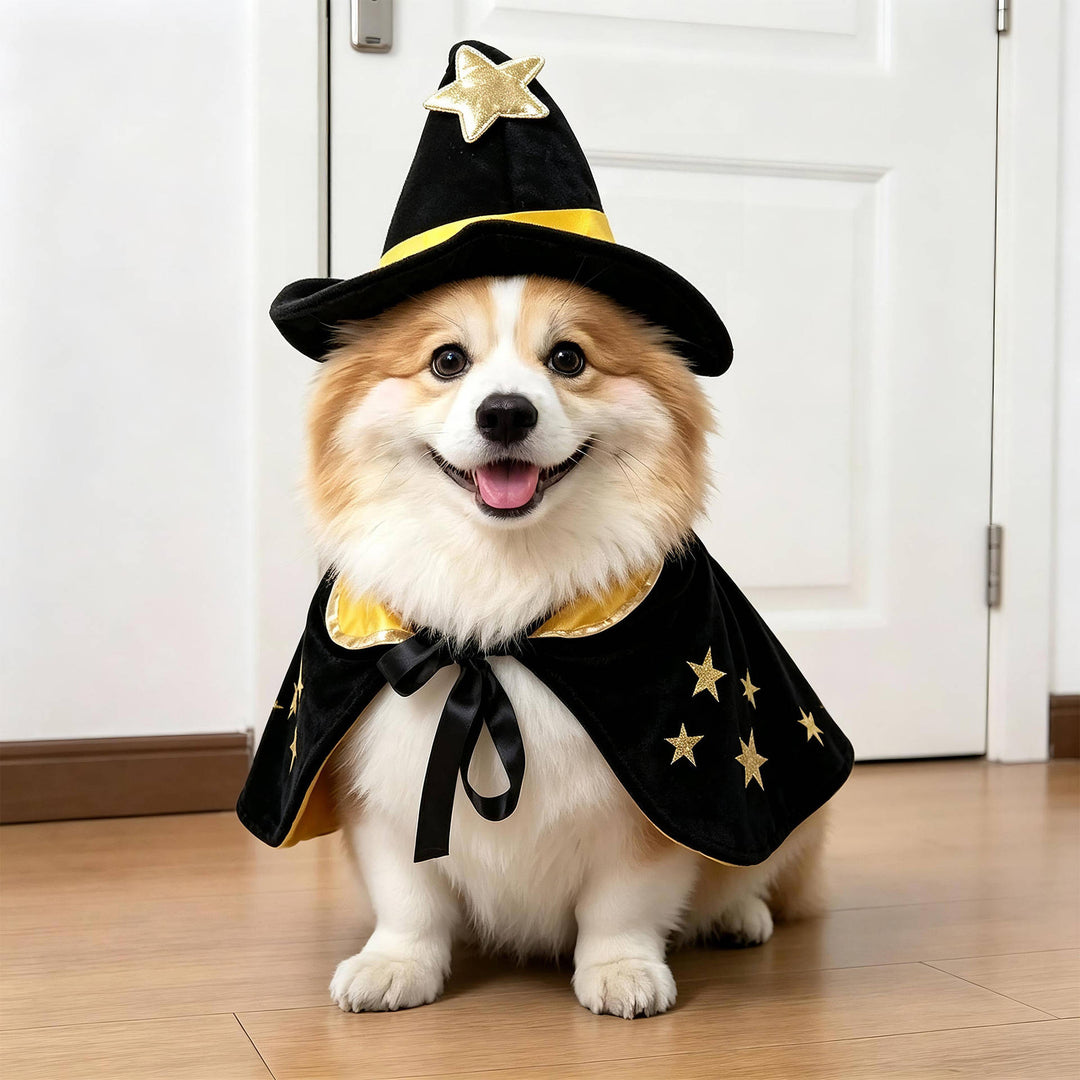 Halloween's Creepy Dog Costume with Padded Arms for Trick or Treating