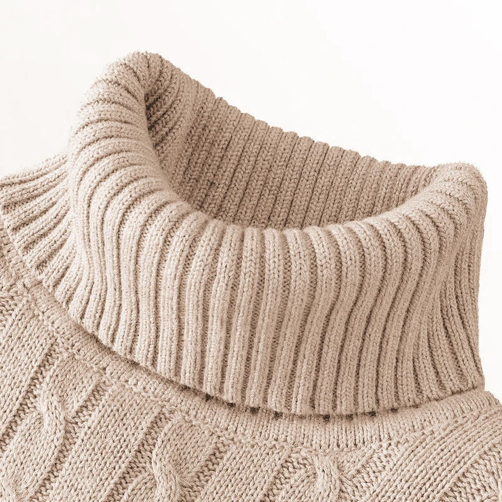 Men's Slim Fit Long Sleeve Knitted Turtleneck Sweater for Winter