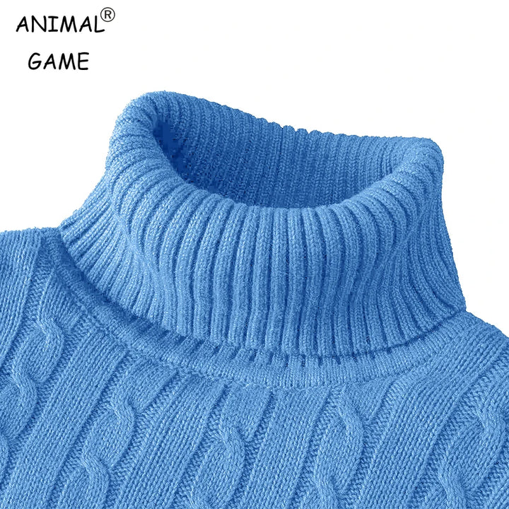 Men's Slim Fit Long Sleeve Knitted Turtleneck Sweater for Winter