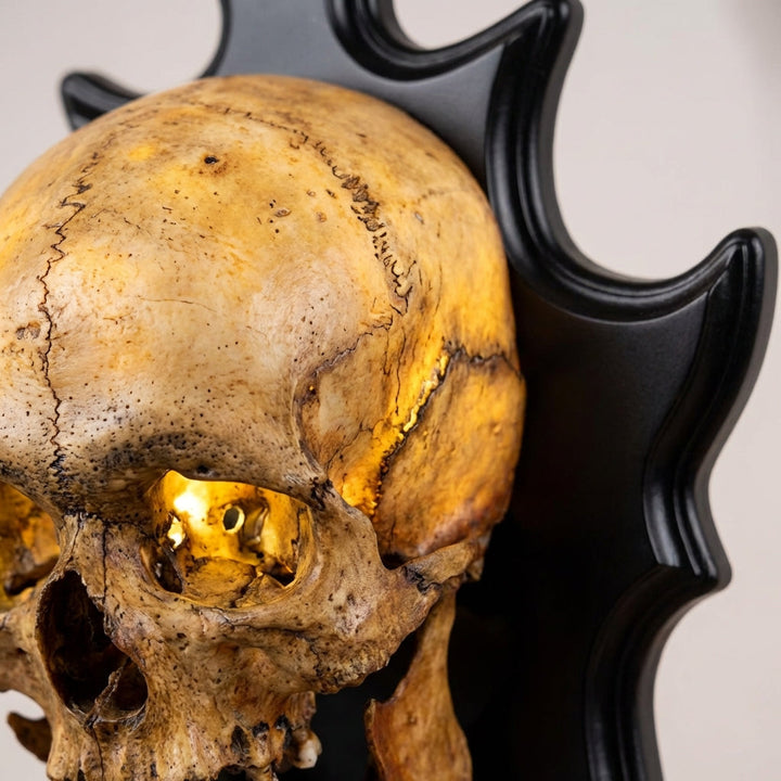Halloween's LED Glow Skull Nightlight with Sound Module