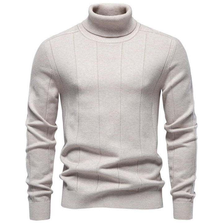 Men's Ribbed Turtleneck Knit Sweater