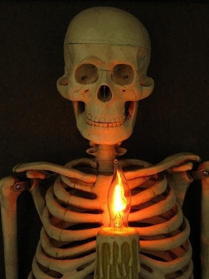 Halloween's Framed Skeleton Torso Wall Decor with Flashing Candle Bulb