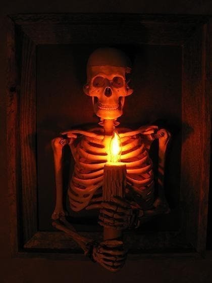 Halloween's Framed Skeleton Torso Wall Decor with Flashing Candle Bulb