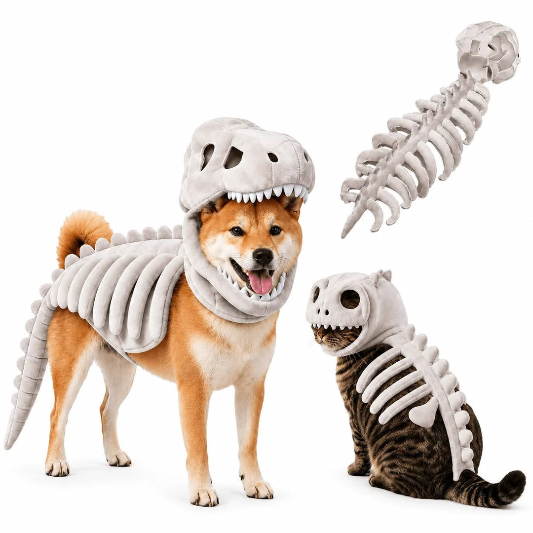 Halloween's Dinosaur Skeleton Pet Costume for Dogs and Cats