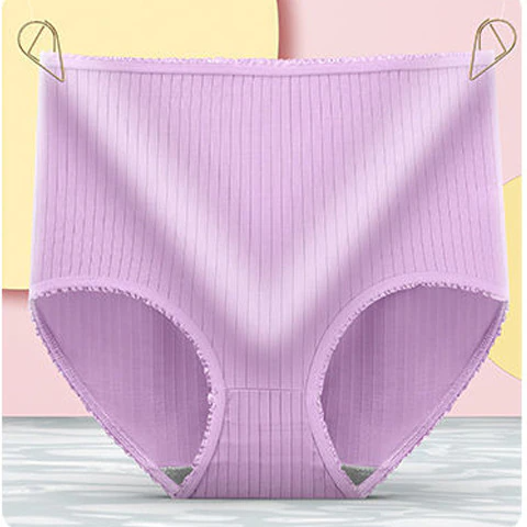 Camille | Women's Leakproof High-Waisted Underwear (8-Pack)
