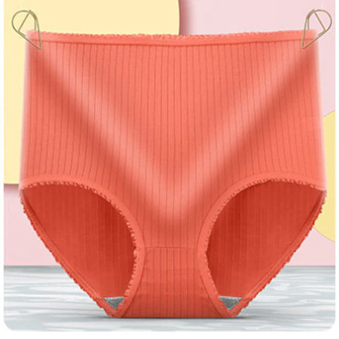 Camille | Women's Leakproof High-Waisted Underwear (8-Pack)