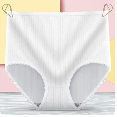 Camille | Women's Leakproof High-Waisted Underwear (8-Pack)