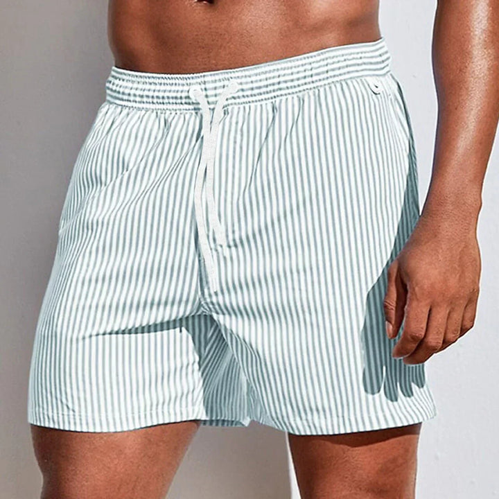 Men's Quick-Dry Striped Swim Shorts